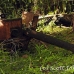 guns_japanese_nusalavu_h_0705_2366.jpg